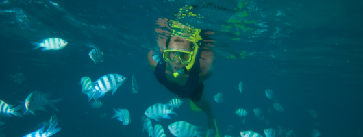 Diving in Seychelles