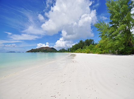 Cote d'Or Footprints,Seychelles