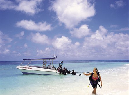 Diving and fishing excursions can be taken on your Denis Island holiday