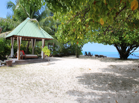The grounds of your cottage on Denis Island Seychelles