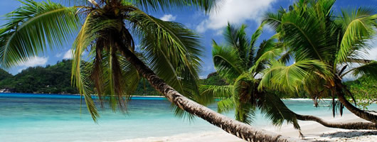 Unspoilt beaches of Seychelles