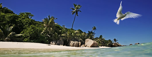 Discover unique landscapes on holidays in Seychelles