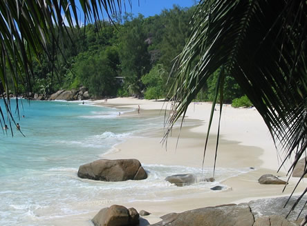 Anse Soleil Beachcomber