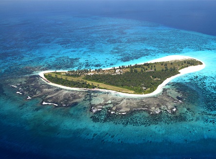 Bird Island Seychelles