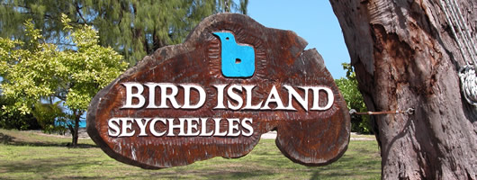 Bird Island