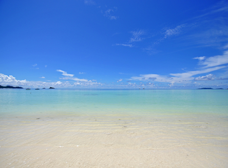 Cote d'Or Footprints,Seychelles