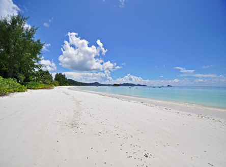 Cote d'Or Footprints,Seychelles