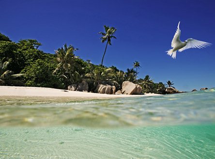 Cousine Island Seychelles