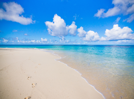 Fabulous coral sand beaches of Denis Private Island Seychelles