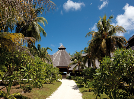 Colourful tropical gardens of Denis Island Seychelles