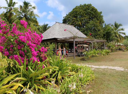 The airport of Denis Island Seychelles!