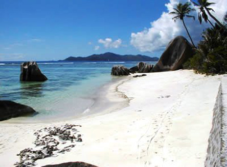 Fleur de Lys, La Digue