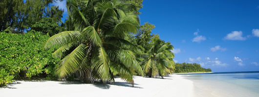 Idyllic white sand beaches of Seychelles