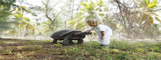 Unique family holidays on Desroches Island Seychelles