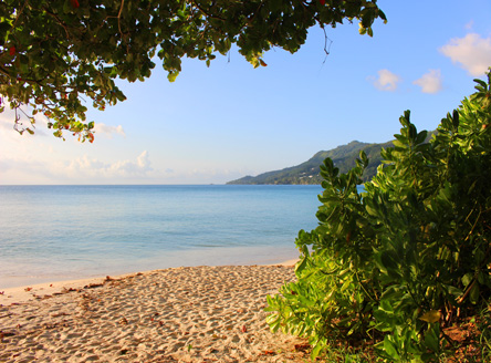 The H Resort Beau Vallon Beach Seychelles