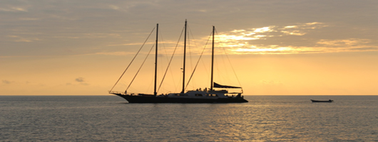 Sea Star at sunset