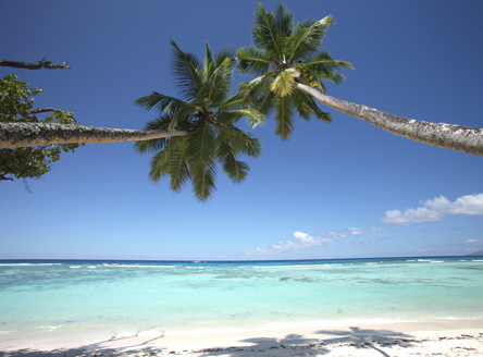 Beautiful beaches of Silhouette Island Seychelles
