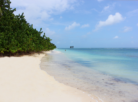 Le Repaire Boutique Hotel Seychelles