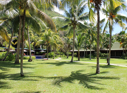 Paradise Sun - Chalet-style rooms are set in lovely tropical gardens