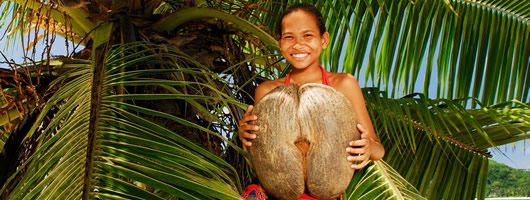 Praslin Island Seychelles