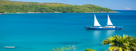 Sea Bird cruising off the neon blue seas of Praslin Seychelles